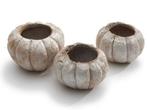 Coco Pumpkin Frosted zak 3 stuks, Maison & Meubles