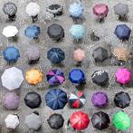 Werner Roelandt - Umbrellas - XL