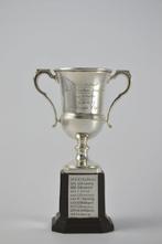 Trophée (1) - Argent 925 - William Neale - Birmingham - 1936, Antiquités & Art, Antiquités | Argent & Or