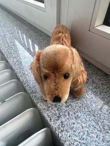 Steiff - Jouet Steiff 137.00 - 1950-1960 - Allemagne beschikbaar voor biedingen