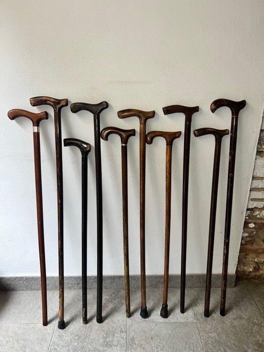 Wandelstok (10) - Hout, Antiek en Kunst, Curiosa en Brocante