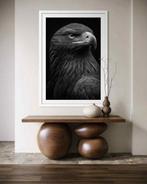 Rudy barret - Black Vigil - XL