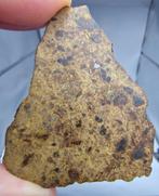 NWA 14688, meteoriet chondriet LL5 breccie, snede. Geen