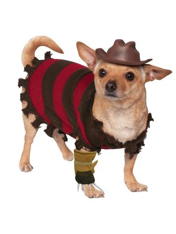 Halloween Honden Kostuum Freddy Krueger beschikbaar voor biedingen