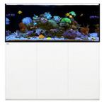 WaterBox REEF 180.5 Wit, Nieuw, Verzenden