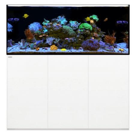WaterBox REEF 180.5 Wit, Dieren en Toebehoren, Vissen | Aquaria en Toebehoren, Verzenden