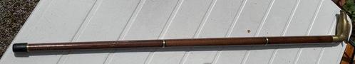 Canne de marche - Bois, Antiek en Kunst, Curiosa en Brocante