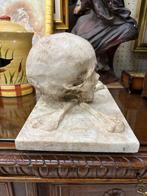 sculptuur, Teschio e tibie incrociate - 21 cm - Hars, Marmer