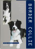 Border Collie. Aanschaf, verzorging, voeding, fokken, Verzenden, Esther Verhoef