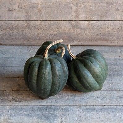 Porto Moschata pompoen zaden, Hobby en Vrije tijd, Knutselen, Nieuw