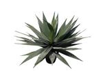 Veiling - Kunstplant Agave 95 cm, Huis en Inrichting, Nieuw