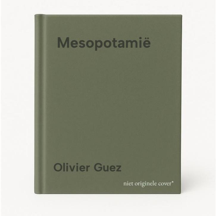 Mesopotamië 9789089683076 Olivier Guez, Boeken, Romans, Zo goed als nieuw, Verzenden