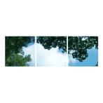 Wolk-bos plafond Fotoprint verdeeld over 3 panelen 60x60cm, Verzenden, Nieuw