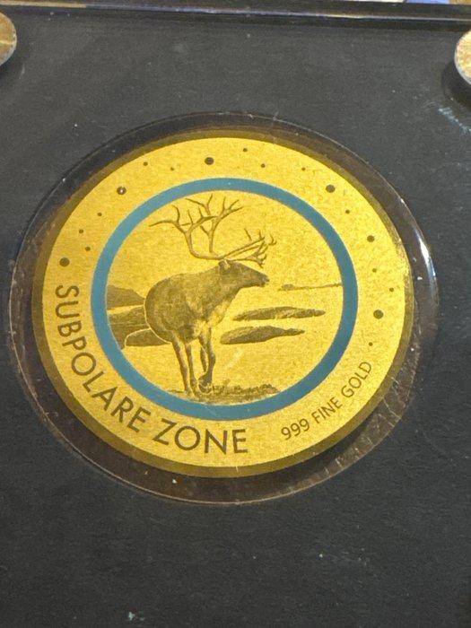 Tsjaad. 5000 Francs 2020 - Subpolare Zone , 1/200 Oz (.999), Postzegels en Munten, Munten | Europa | Niet-Euromunten