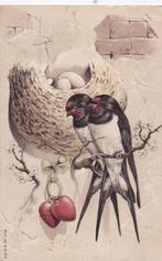 Vogels (100x) - Avec de magnifiques cartes en relief - Carte, Verzamelen, Gelopen