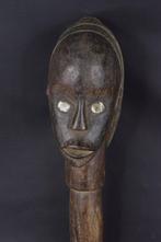 Reliekhoofd - Giftand - Gabon