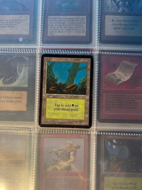 Alpha - 1 Card - Magic: The Gathering - Forest, Hobby en Vrije tijd, Verzamelkaartspellen | Magic the Gathering