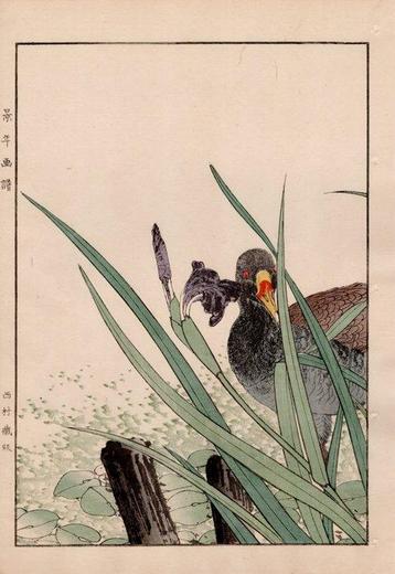 Waterhen () and Iris () - From the album Keinen