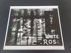 Eugene Smith (1918-1978) from Magnum Photos - White Rose,