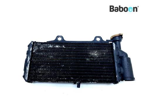 Radiateur BMW F 650 GS 2000-2003 (F650GS 00), Motos, Pièces | BMW, Envoi