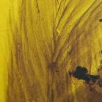 Fossiles - Ambre - Feather from Paleo-avian - 36 mm - 18 mm