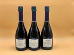 Taisne Riocour, Grande reserve - Champagne Brut - 3 Flessen, Nieuw