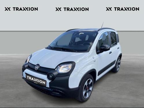 Fiat Panda, Auto's, Fiat
