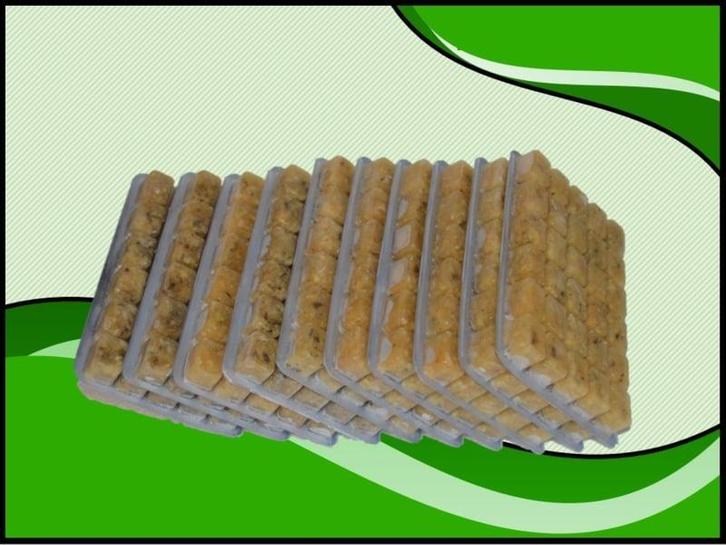 Mosselvlees 10x100 gram diepvriesvoer (Visvoeding), Animaux & Accessoires, Poissons | Aquariums & Accessoires, Envoi