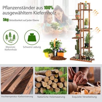 Tweedekans | Coast bloemplank 6 verdiepingen tellende houten beschikbaar voor biedingen