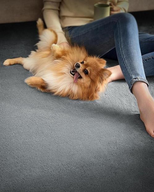 Vloerkleed 120x170 cm – antislip tapijt – wasbaar en, Huis en Inrichting, Stoffering | Tapijten en Vloerkleden, Verzenden