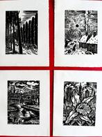 Frans Masereel (1889-1972) - Mijn Land, Antiquités & Art