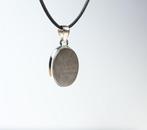 Muonionalusta meteoriet IJzeren meteoriet hanger / nieuw -, Verzamelen, Mineralen en Fossielen