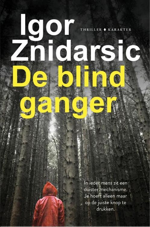 De blindganger / Van Dijk & Vischjager / 1 9789045212517, Boeken, Thrillers, Zo goed als nieuw, Verzenden