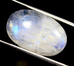 Collectie Ct. 59,50 Maansteen - Cabochon- 11.9 g