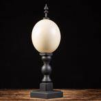 Wunderkammer-ontwerp - Ei - Ostrich Egg - Strutio Camelus -, Verzamelen, Dierenverzamelingen, Nieuw