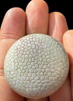 Boîte - Curieuse petite boîte vintage en aluminium utilisée