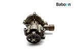 Waterpomp Triumph Trident 660 2020->, Motoren, Verzenden, Gebruikt