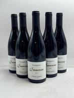 2022 Vincent Gaudry, Vincengetorix - Sancerre - 6 Flessen, Verzamelen, Nieuw