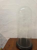 Globe - stolp - antiek - 1901-1920 - Antieke ronde stolp op, Antiek en Kunst