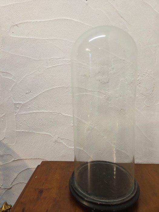 Globe - stolp - antiek - 1901-1920 - Antieke ronde stolp op, Antiek en Kunst, Kunst | Niet-Westerse kunst