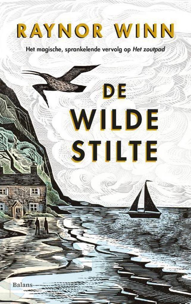 De wilde stilte / Raynor Winn / 2 9789463821049 Raynor Winn, Boeken, Literatuur, Gelezen, Verzenden