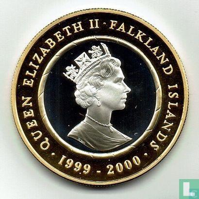 Falklandeilanden 2 pounds 1999 - 2000 (PROOF) Millennium, Postzegels en Munten, Munten | Amerika, Losse munt, Goud, Zilver, Verzenden