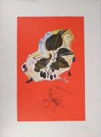 Salvador Dali (1904-1989) - Flordali : Mûres sauvages