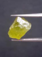 Natural Green Peridot - 5.315 ct - rough gemstone - for face, Verzenden