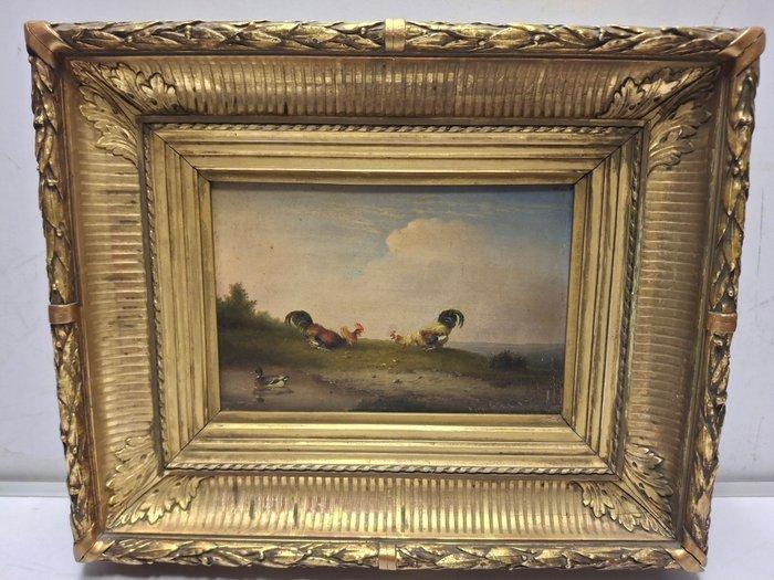 Frans van Severdonck (1809-1889) - Hanengevecht, Antiek en Kunst, Kunst | Schilderijen | Klassiek