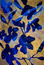 Lupo - Urban Jungle 369 - Certificated - Real Gold - XXL