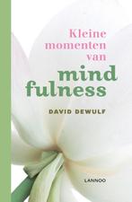 Kleine momenten van mindfulness 9789020942101, Boeken, Zo goed als nieuw, David Dewulf, Verzenden