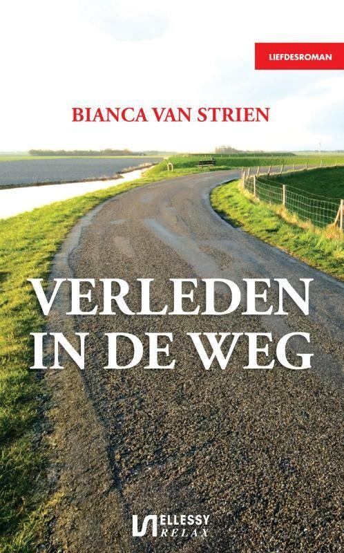 Verleden in de weg 9789086601332 Bianca van Strien, Boeken, Romans, Zo goed als nieuw, Verzenden