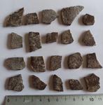 Schelpen van dinosauruseieren uit Frankrijk. -