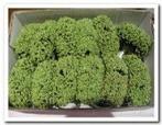 Fieldberries Groen doos, Nieuw